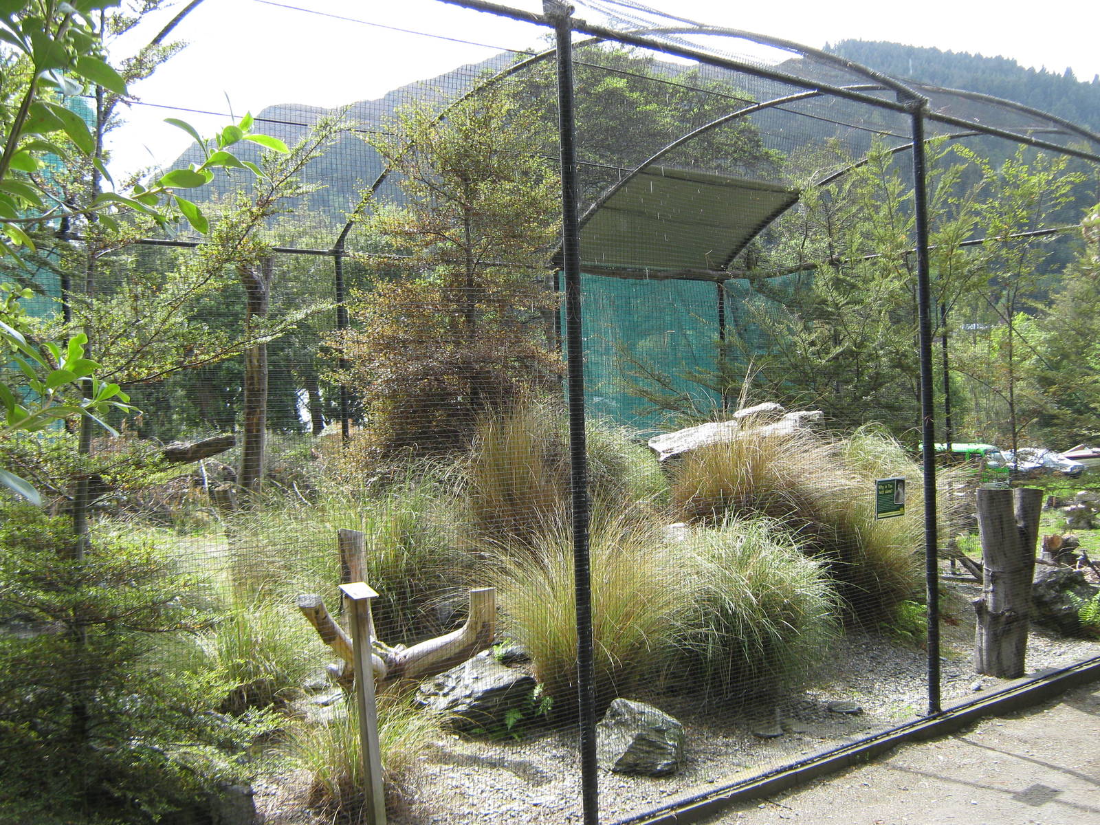 aviary for NZ falcon (Falco novaeseelandiae)