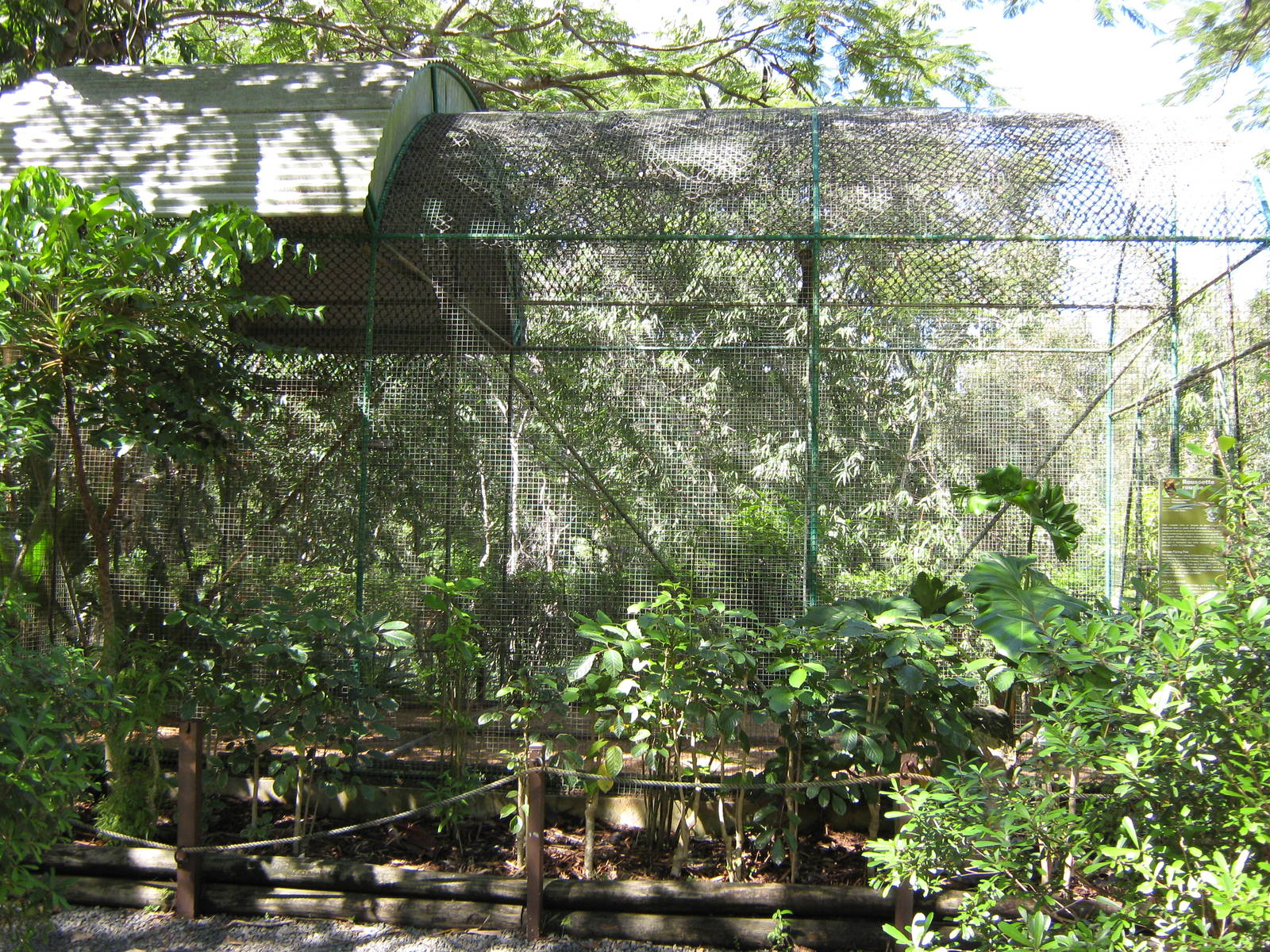 aviary for ornate flying fox (Pteropus ornatus)