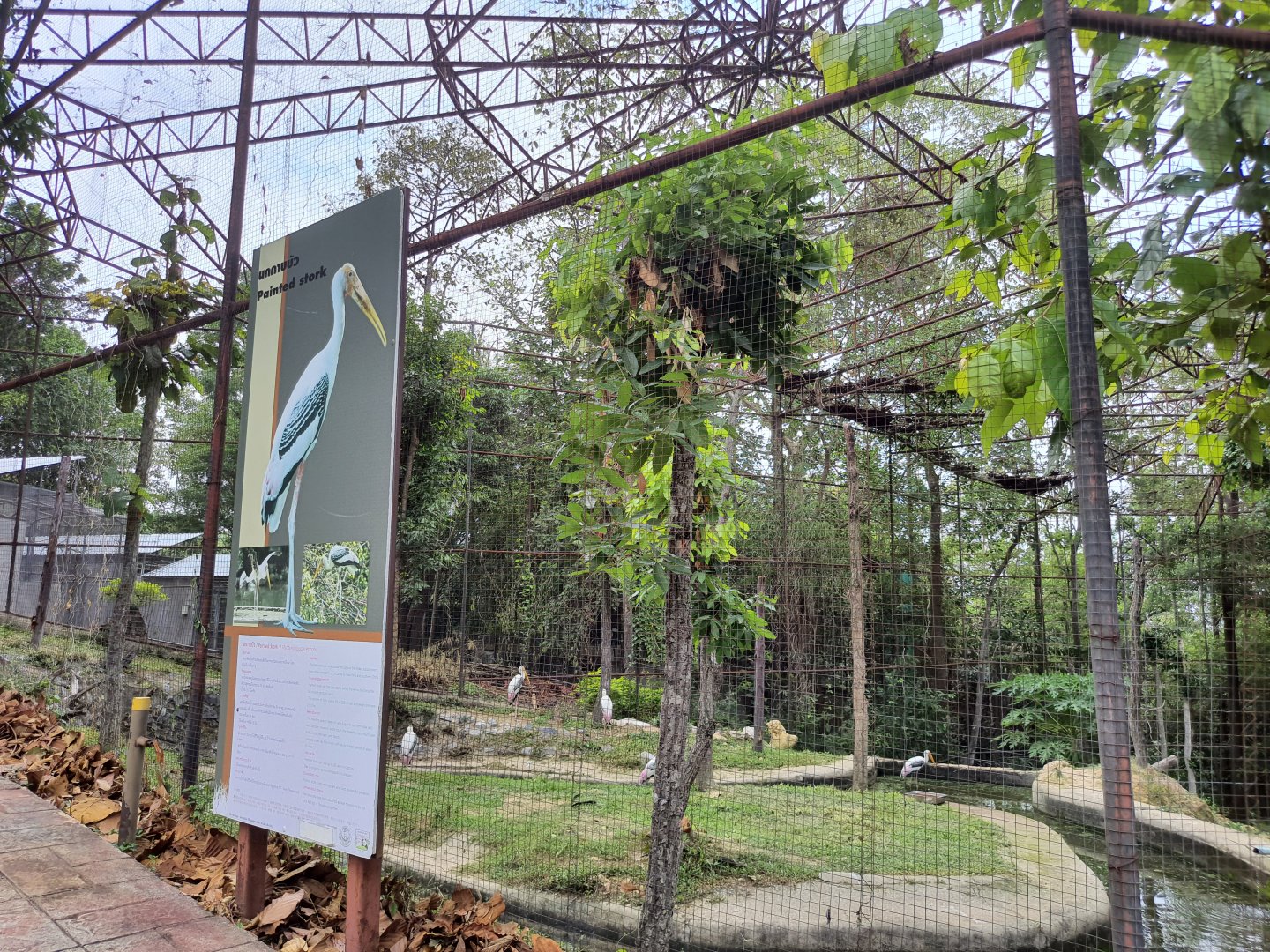 Aviary for Painted Storks