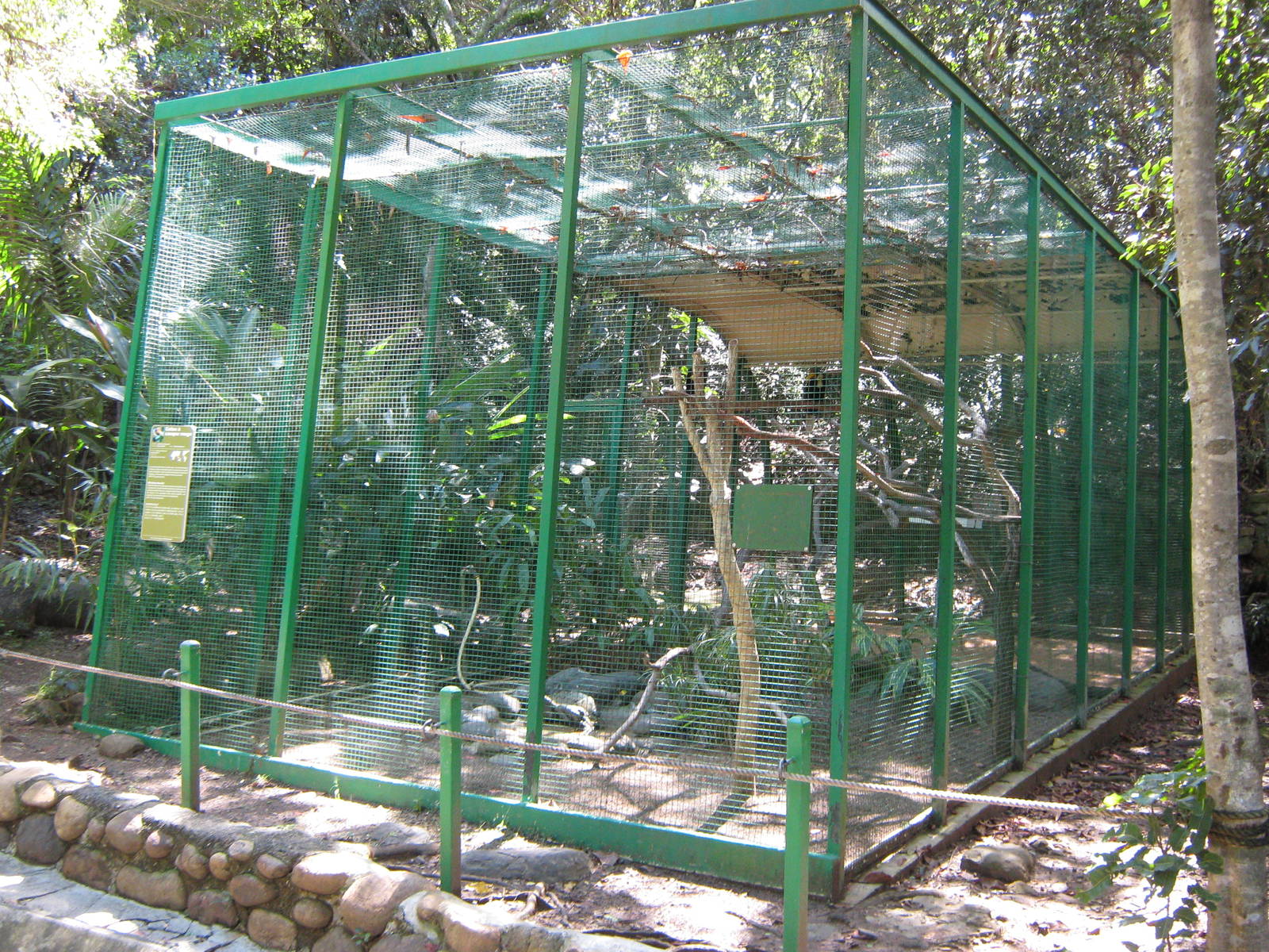 aviary for pair of wrinkled hornbill (Aceros corrugatus)