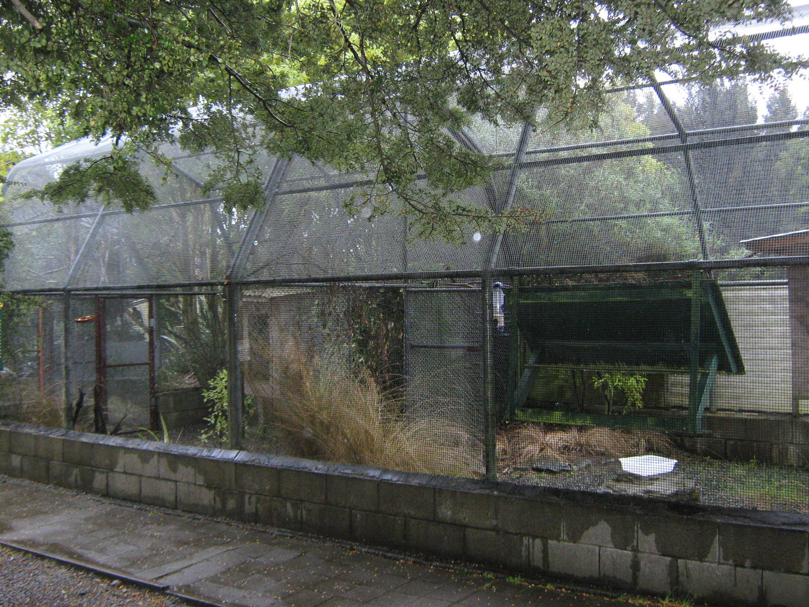 aviary for red-crowned kakariki (Cyanoramphus novaezelandiae)