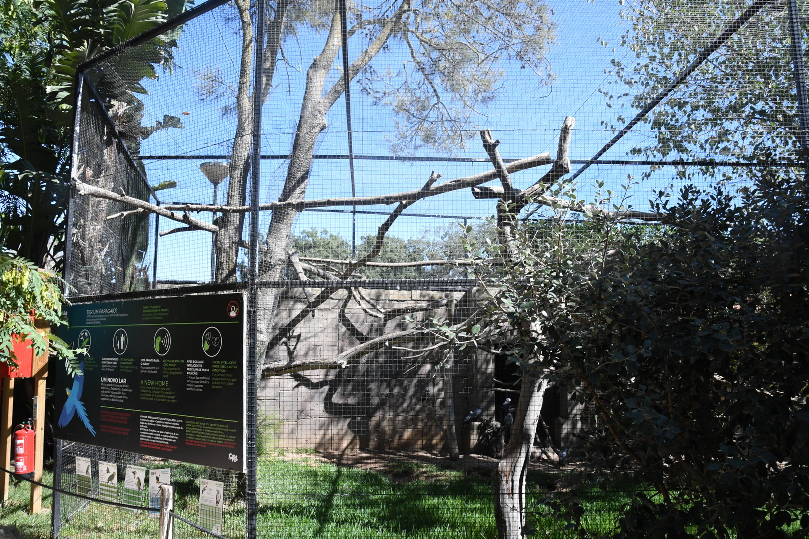 Aviary for Rescued Parrots