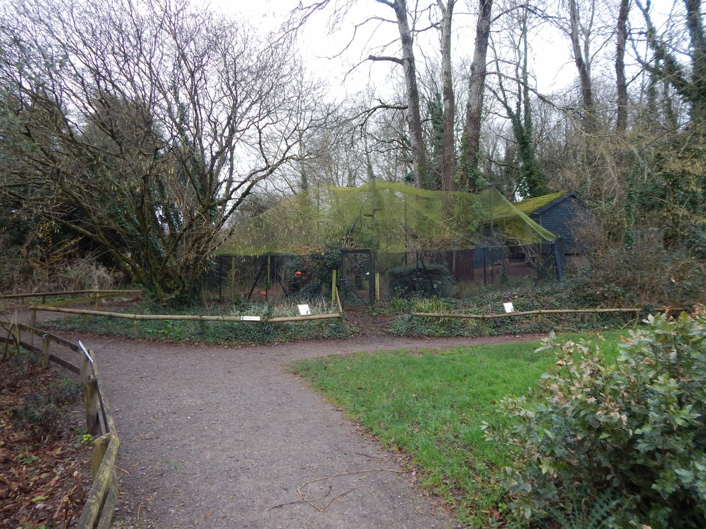 Aviary for Scarlet ibis and Oriental white stork 050224