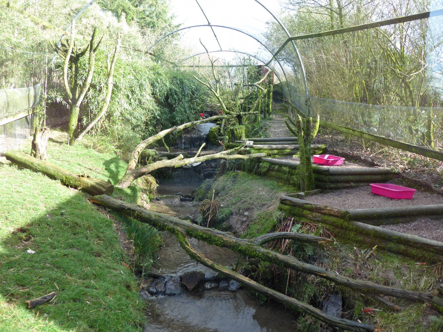 Aviary for Scarlet ibis and Roseate spoonbill 040319