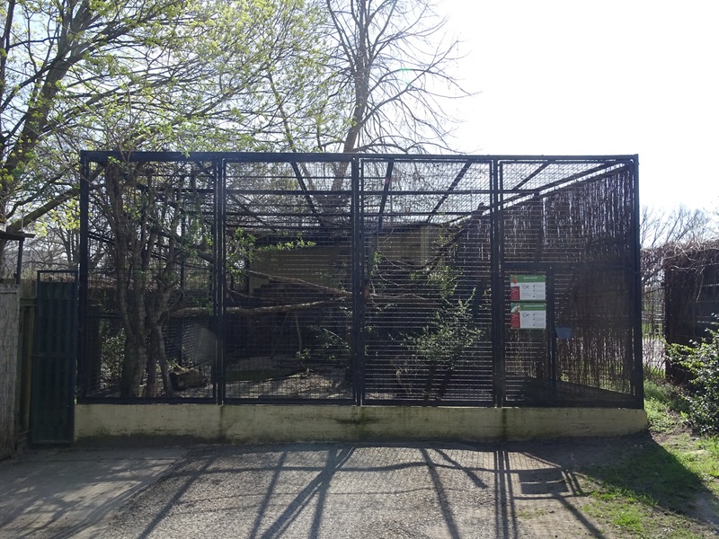 Aviary for scarlet ibis + boat-billed heron (summer)