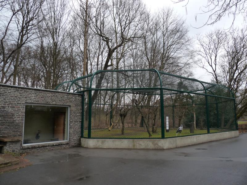 Aviary for Secretary birds