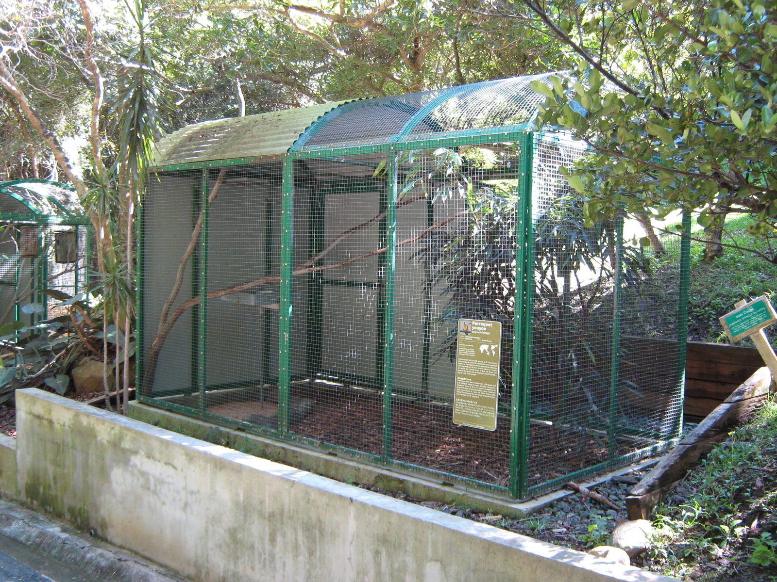 aviary for Senegal parrots