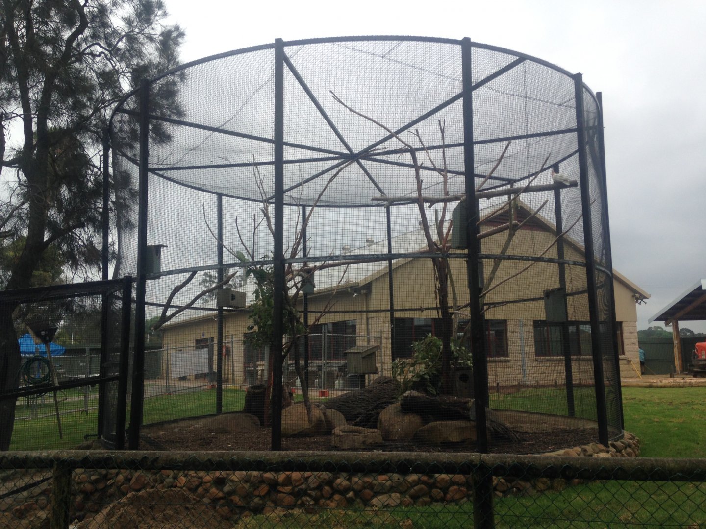 Aviary for small parrots