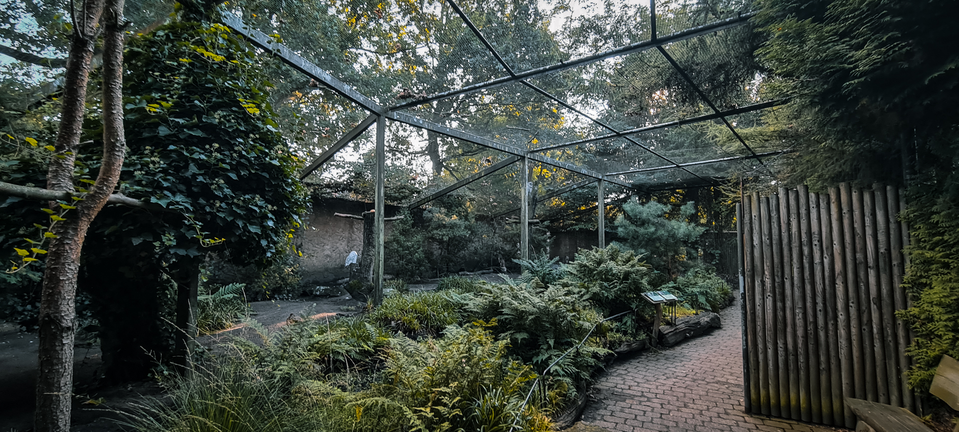 Aviary for Snowy and Great Gray Owls