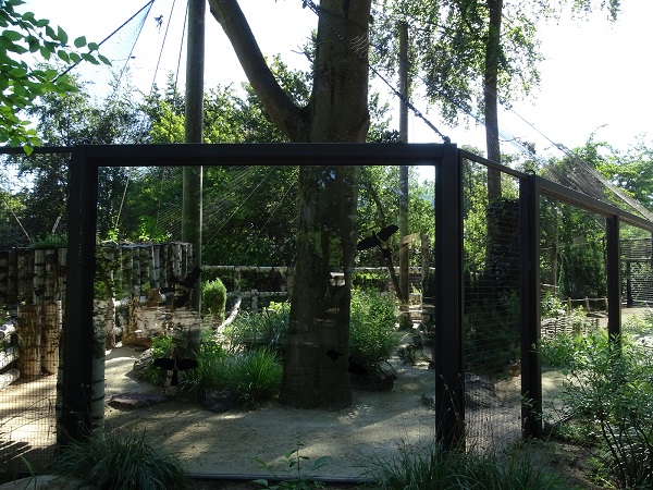 Aviary for snowy owl (07/22)