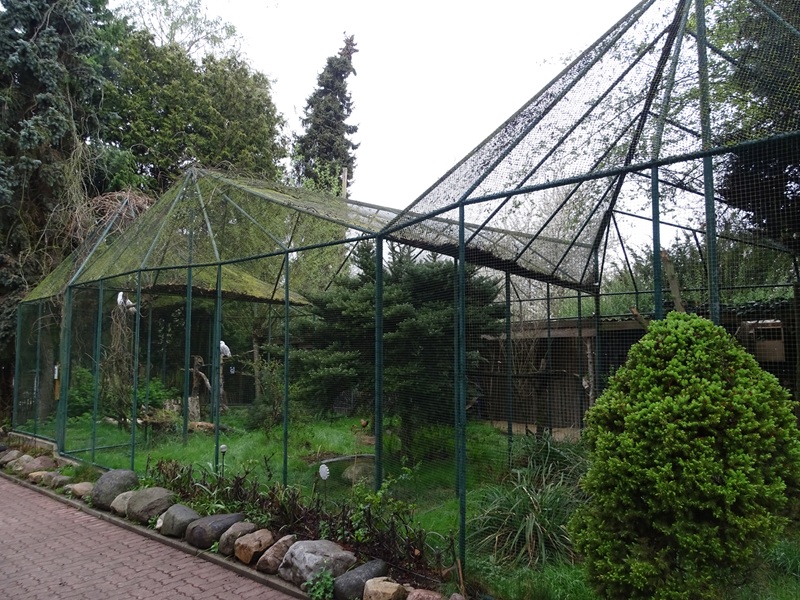 Aviary for snowy owls