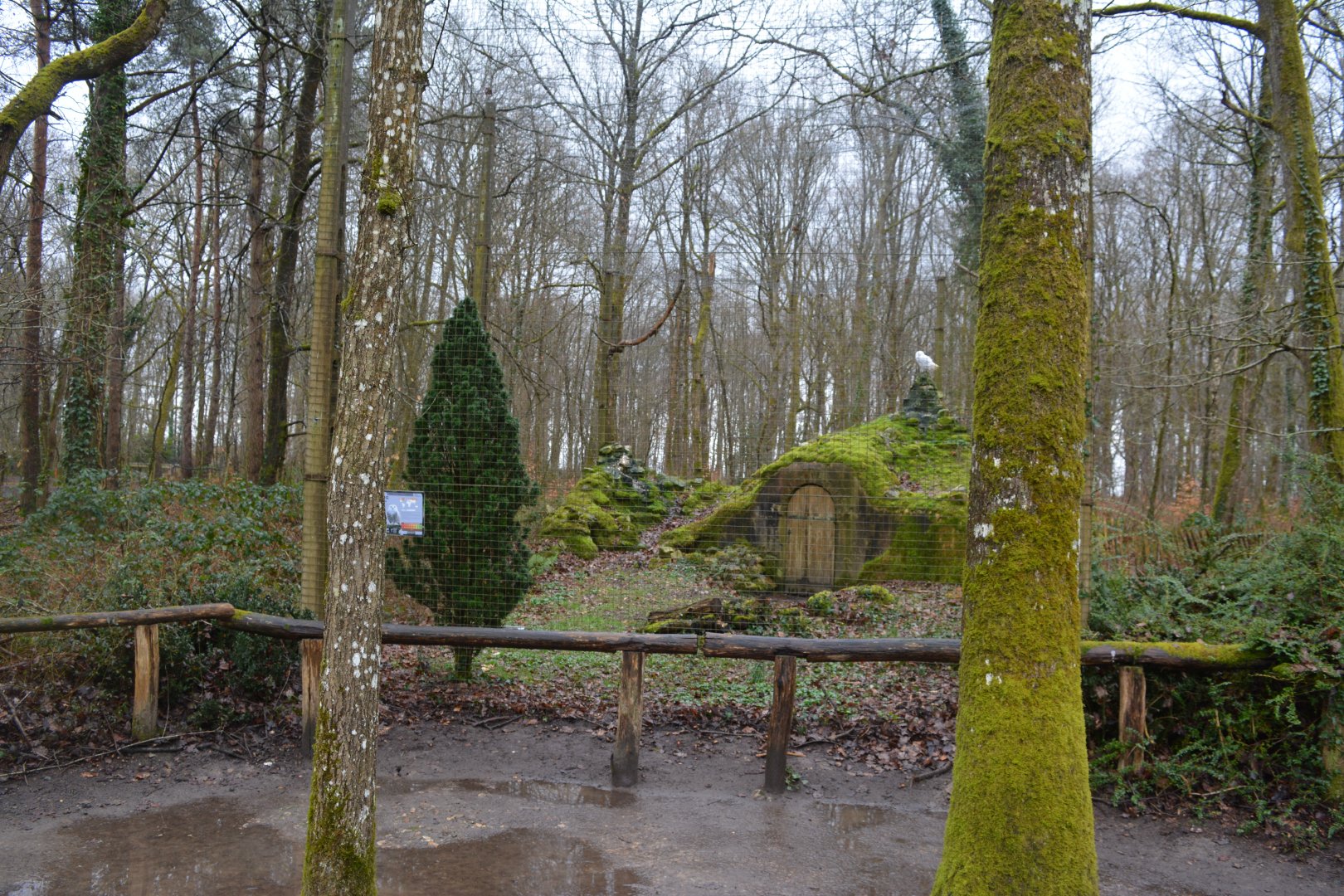 Aviary for snowy owls