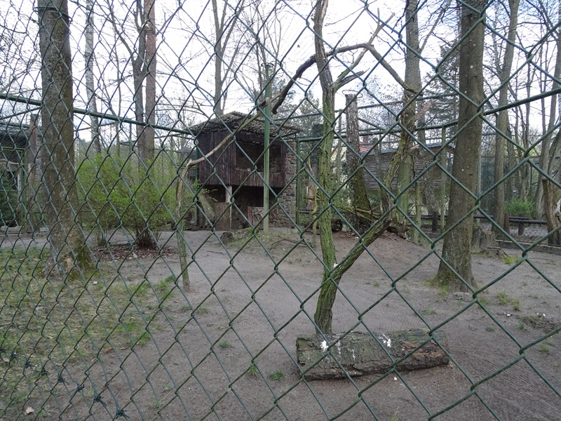 Aviary for spotted eagle-owl