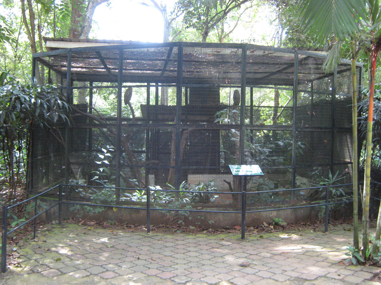 aviary for spotted wood owls (Strix seloputo)