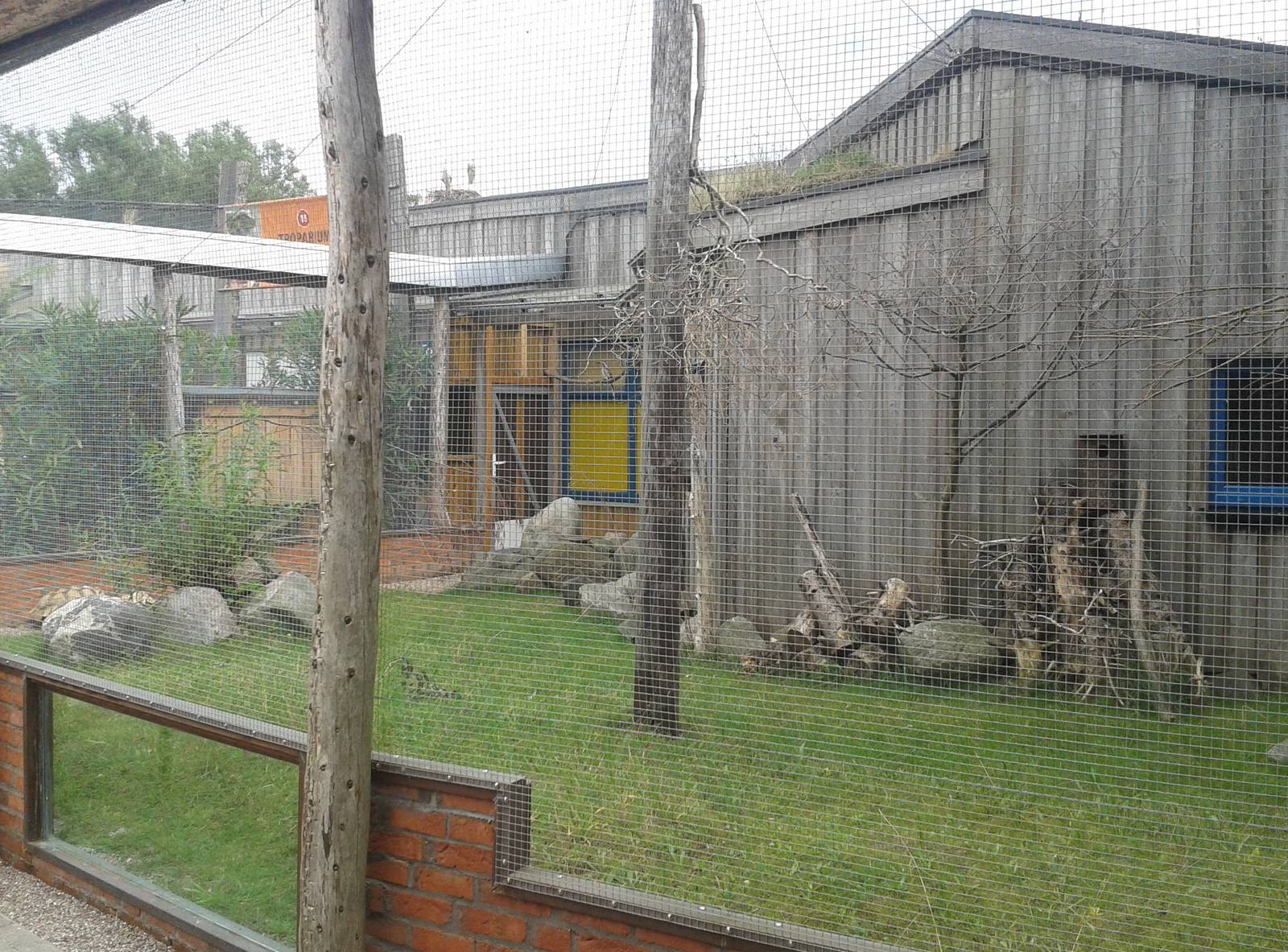 Aviary for starlings, hornbills and tortoises