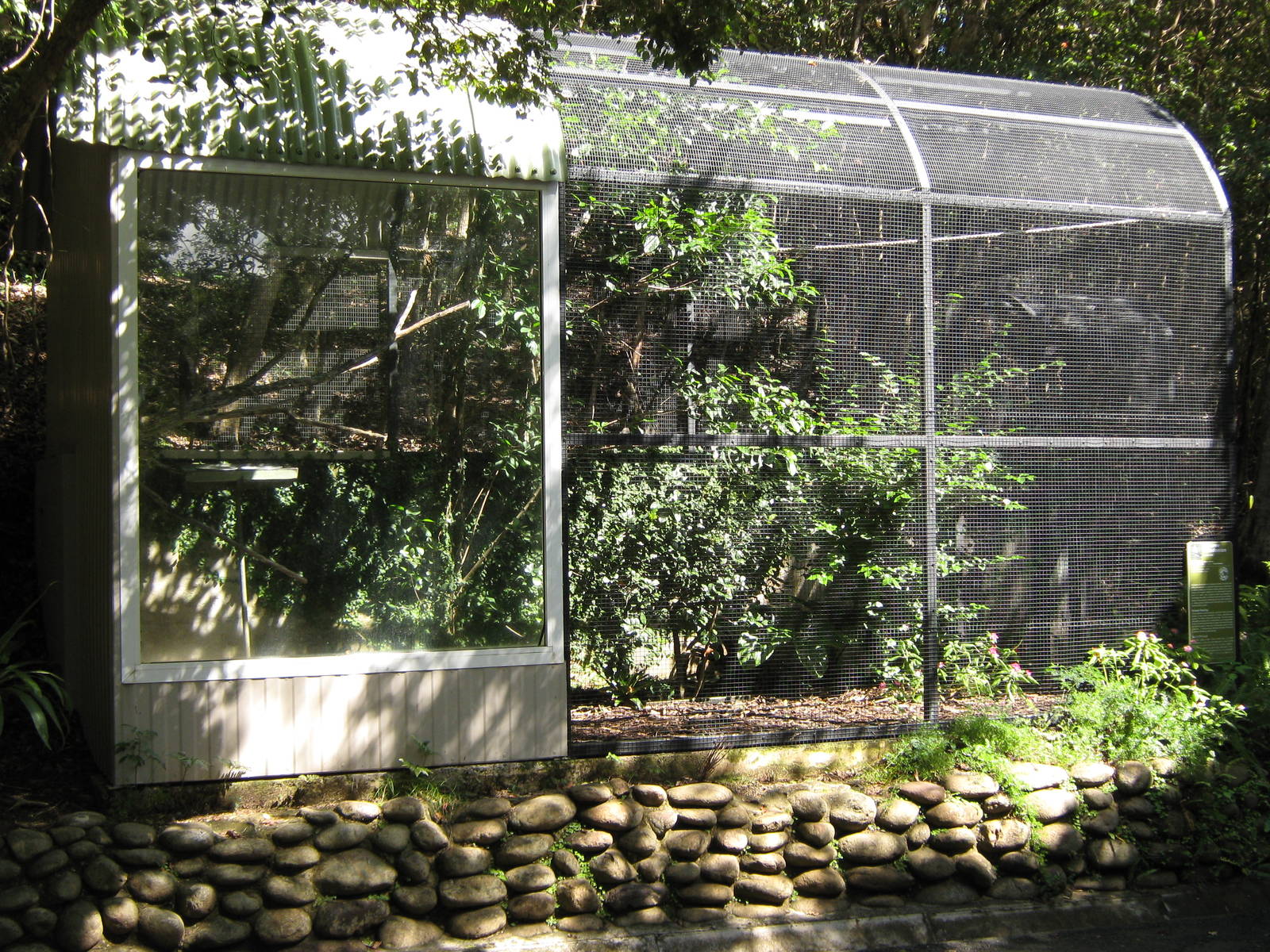 aviary for striated starling (Aplonis striata)