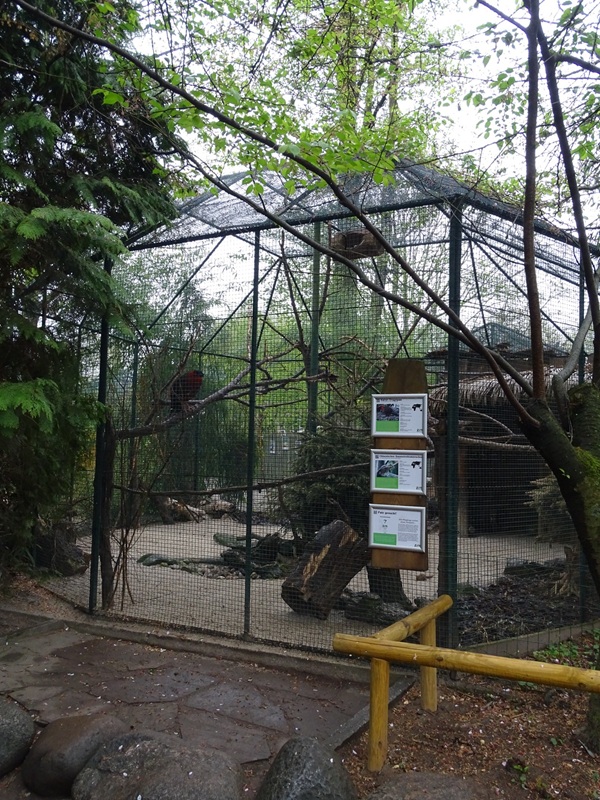 Aviary for striped squirrels and tragopan