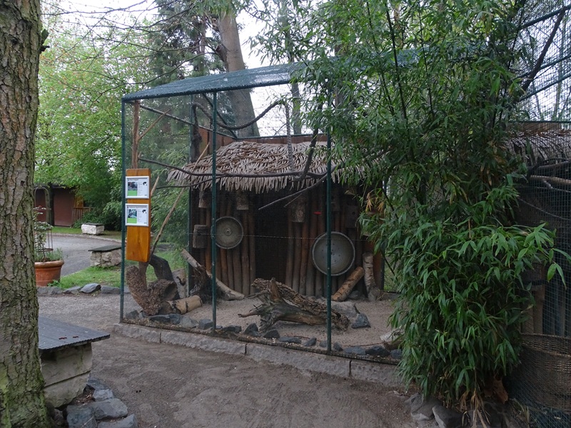 Aviary for striped squirrels and tragopan