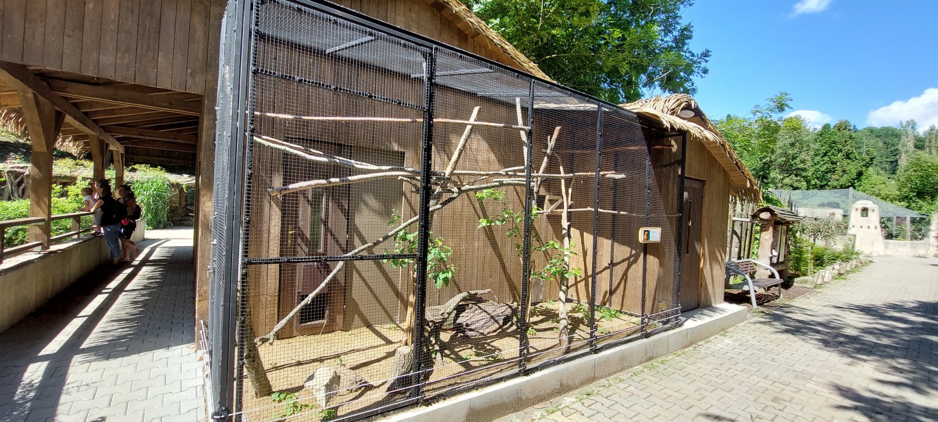 Aviary for Sun conures and Chaco maras