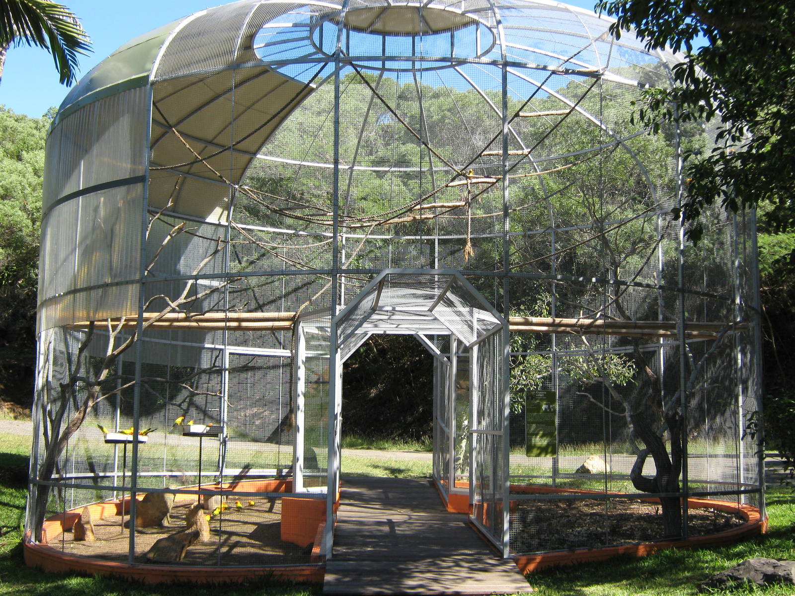 aviary for sun conures
