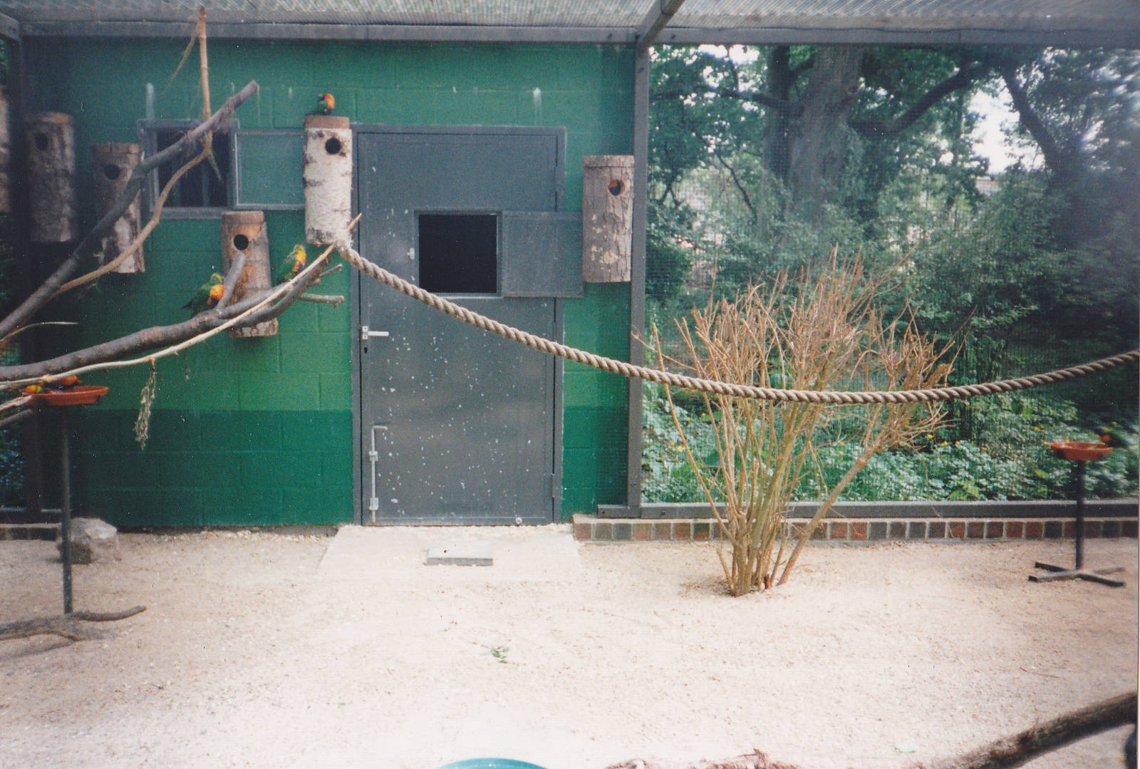 Aviary for the Rainbow lorikeets