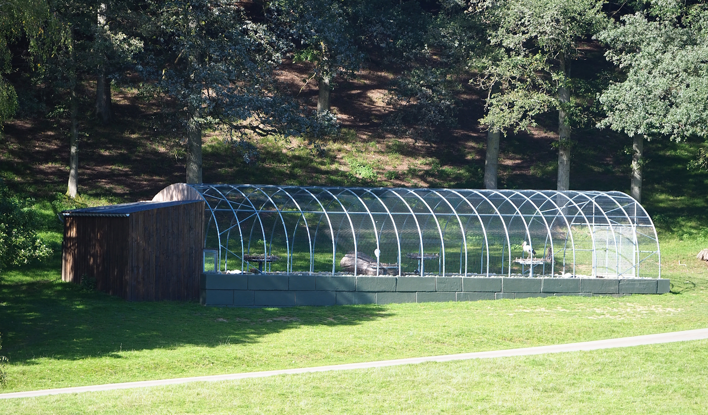 Aviary for the reintroduction of European white storks, 2023-09-26