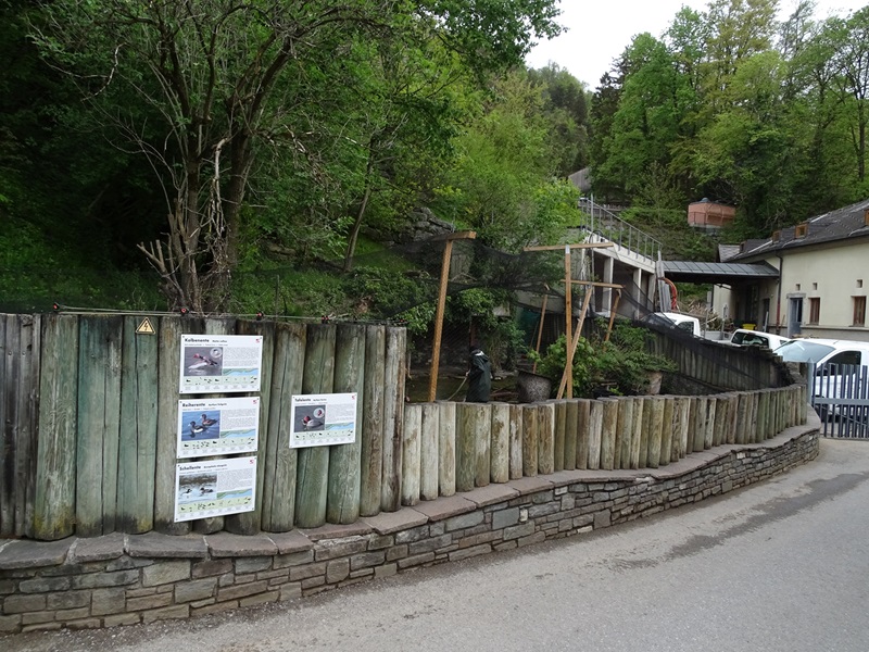 Aviary for various duck species