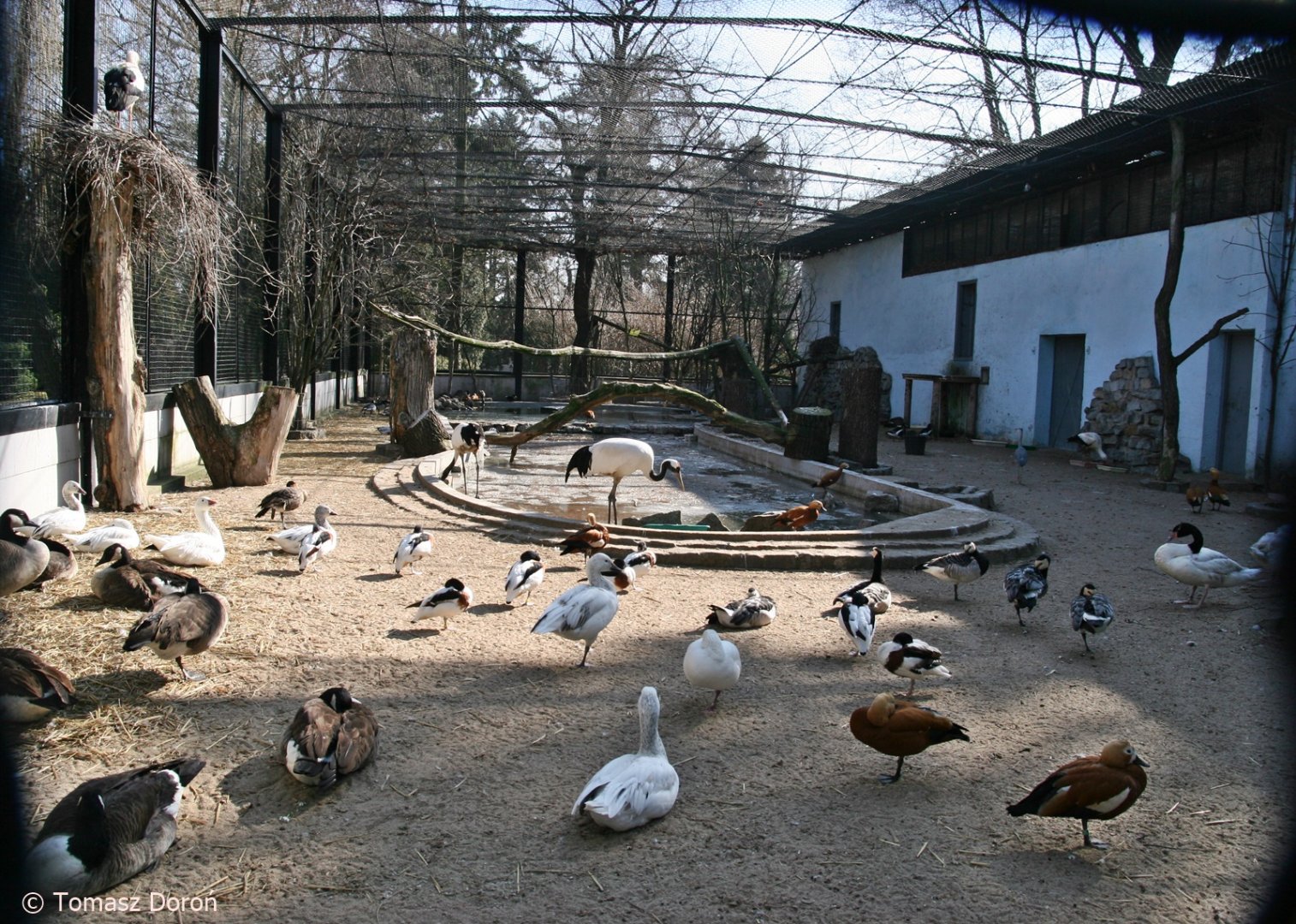 Aviary for water birds, March 2012