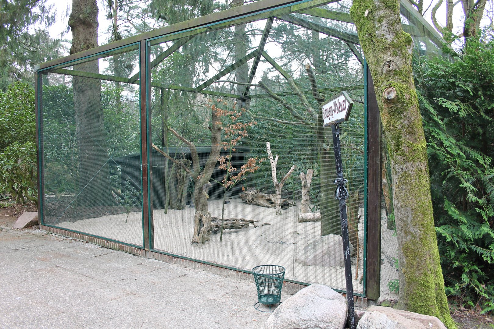 Aviary for Western capercaillie and Wood pigeons (24/3-19)