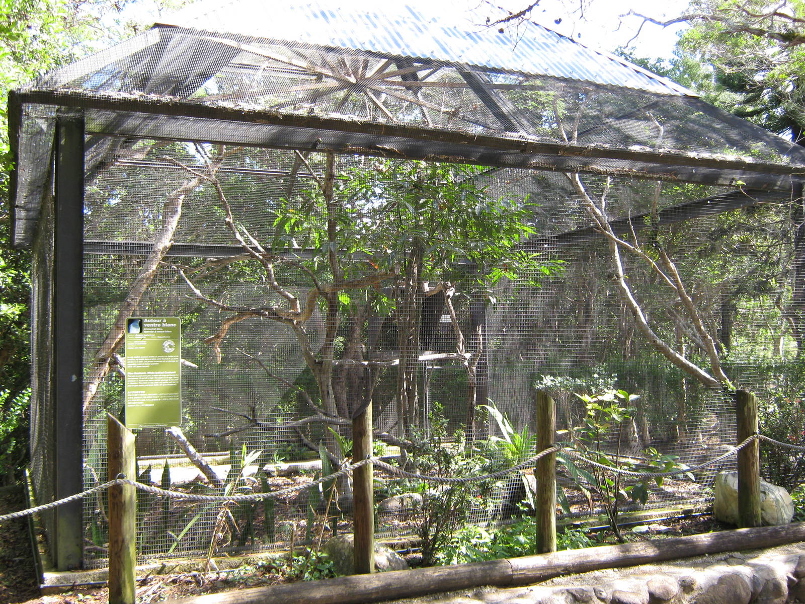 aviary for white-bellied goshawks (Accipiter haplochrous)
