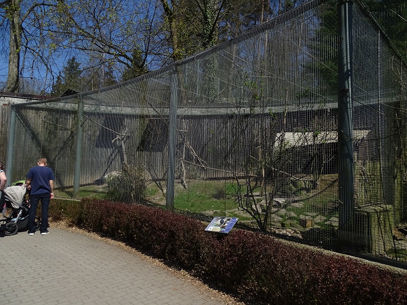 Aviary for white-necked raven (04/2023)