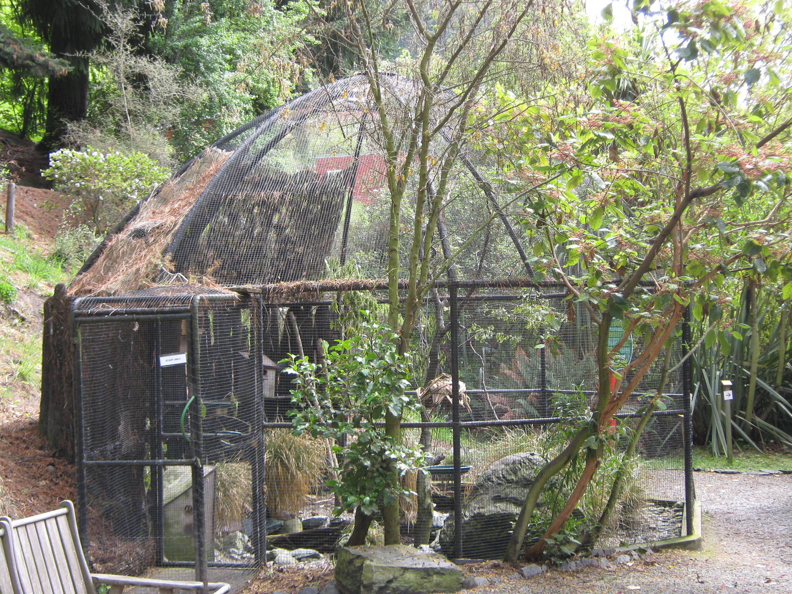 aviary for yellow-crowned kakariki (Cyanoramphus auriceps)