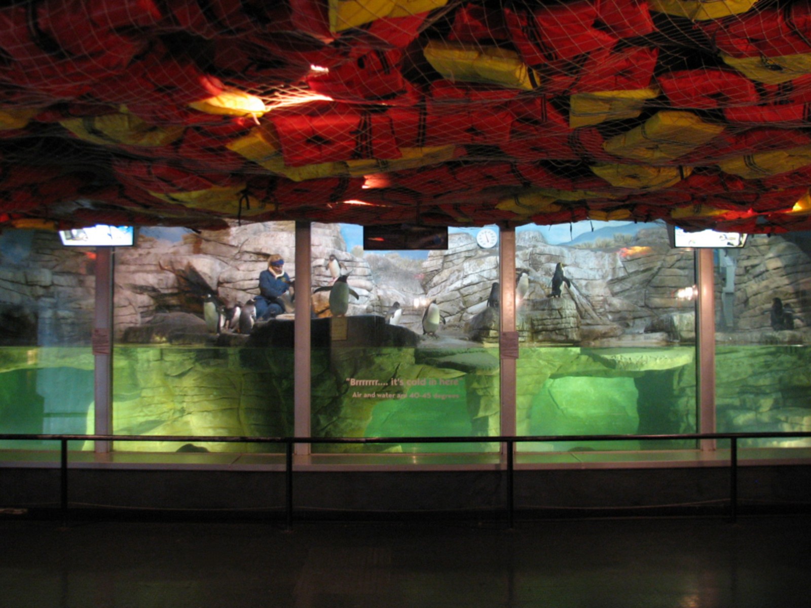 Aviary - Gentoo and Rockhopper Penguins Exhibit