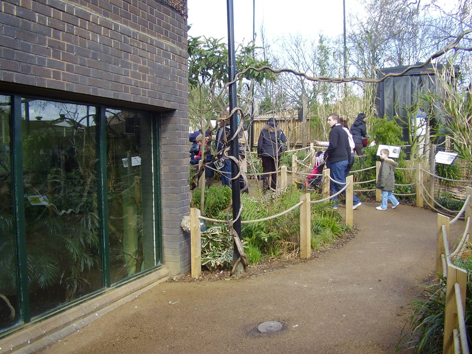 Aviary, Gorilla Kingdom, March 2008