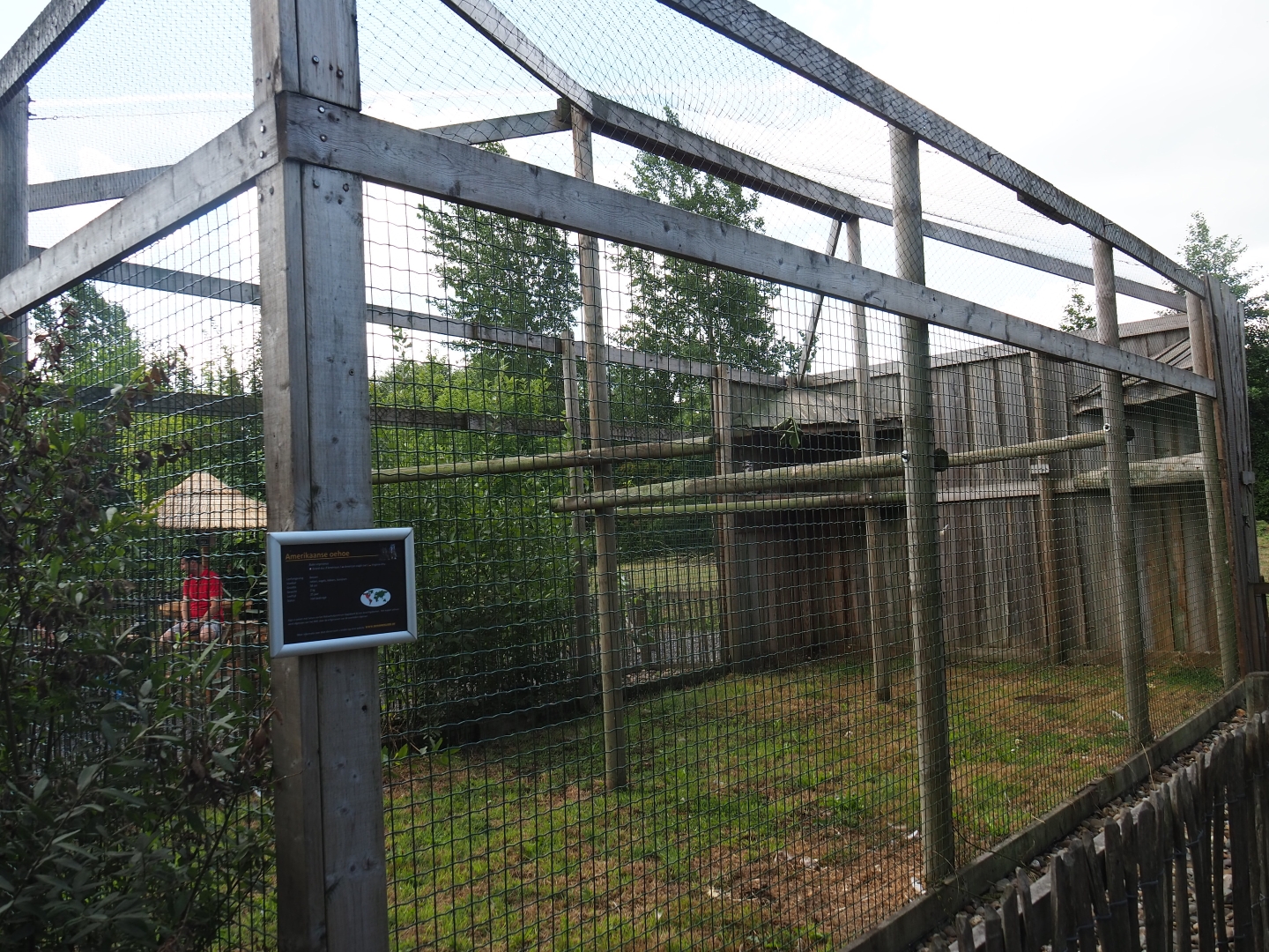 Aviary Great horned owls