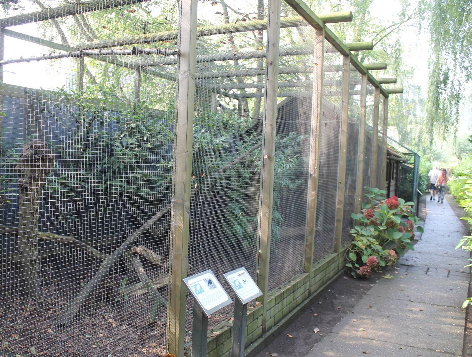 Aviary Helmed curassow and Blue pie