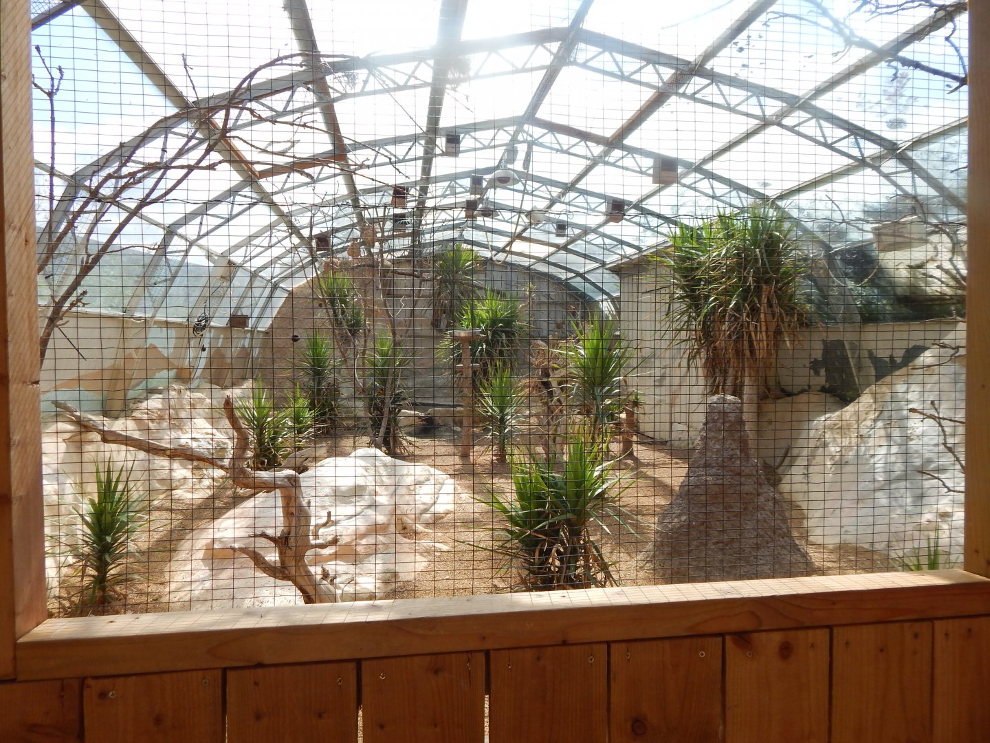 Aviary in African section 030821