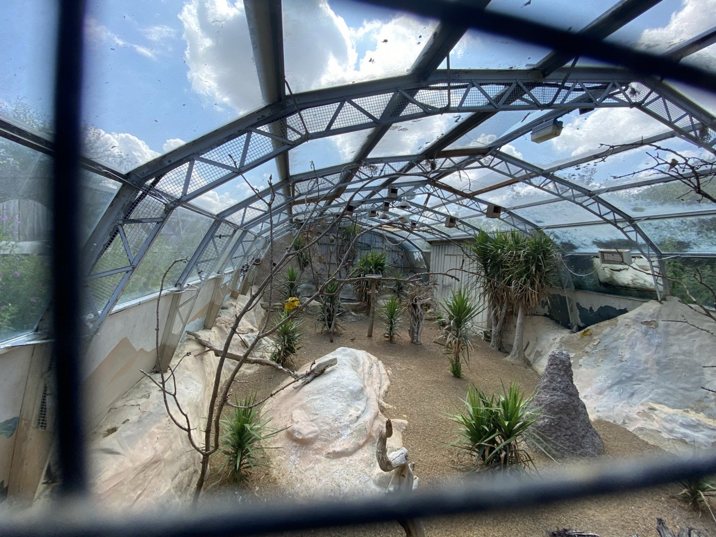 Aviary in African section 030821