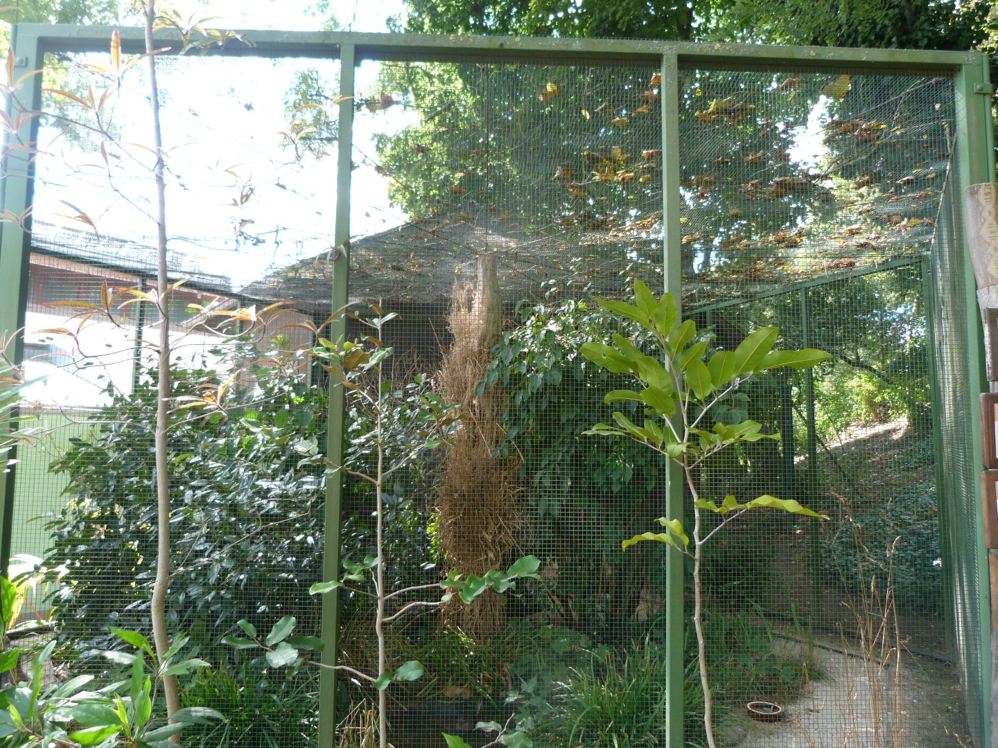 Aviary in front of the Giraffe and Rhino house -Zoo Plzeň (2025)