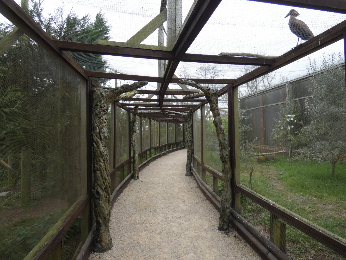 Aviary in Gruffalo Discovery Land