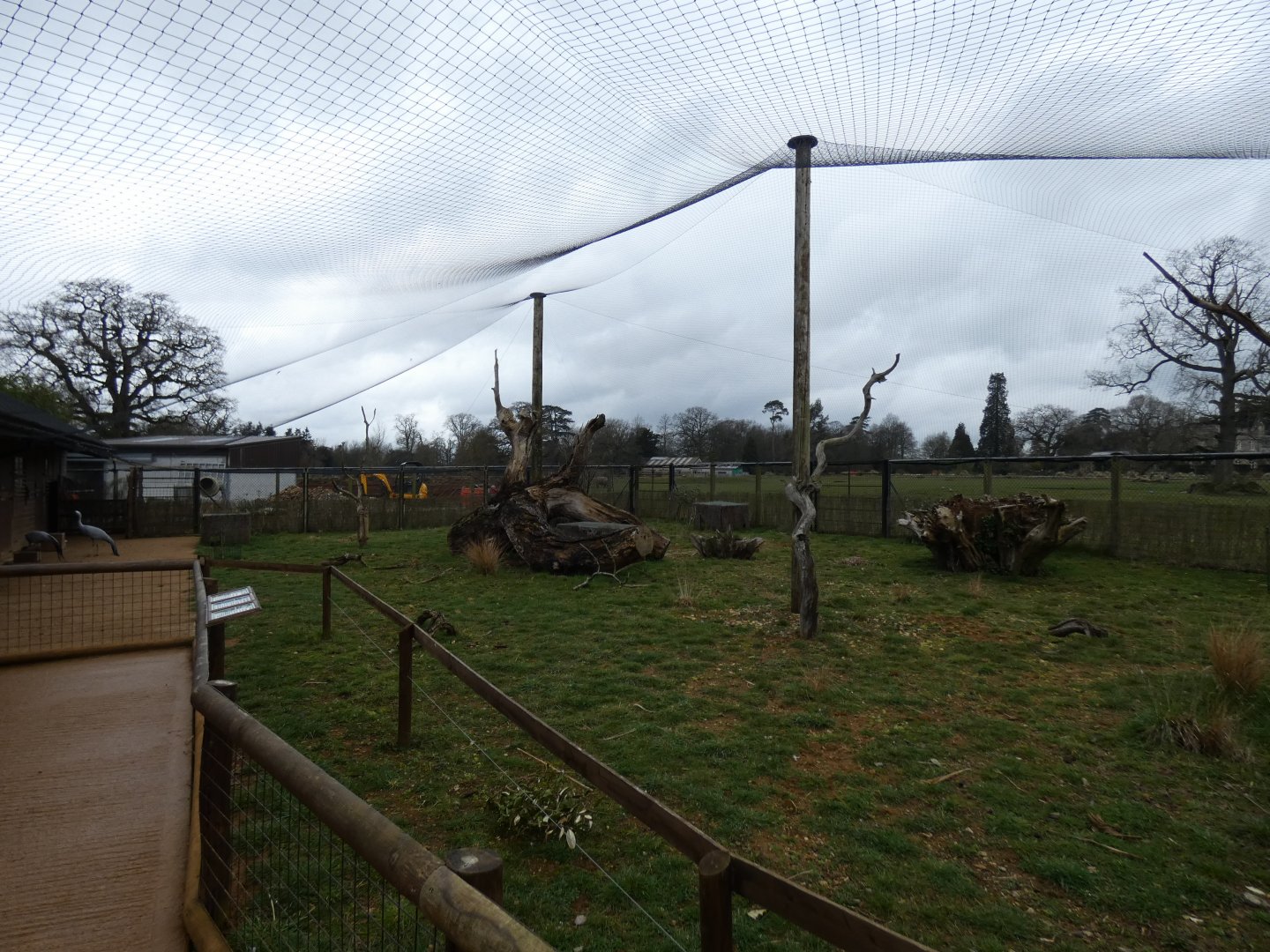 Aviary in Little Africa