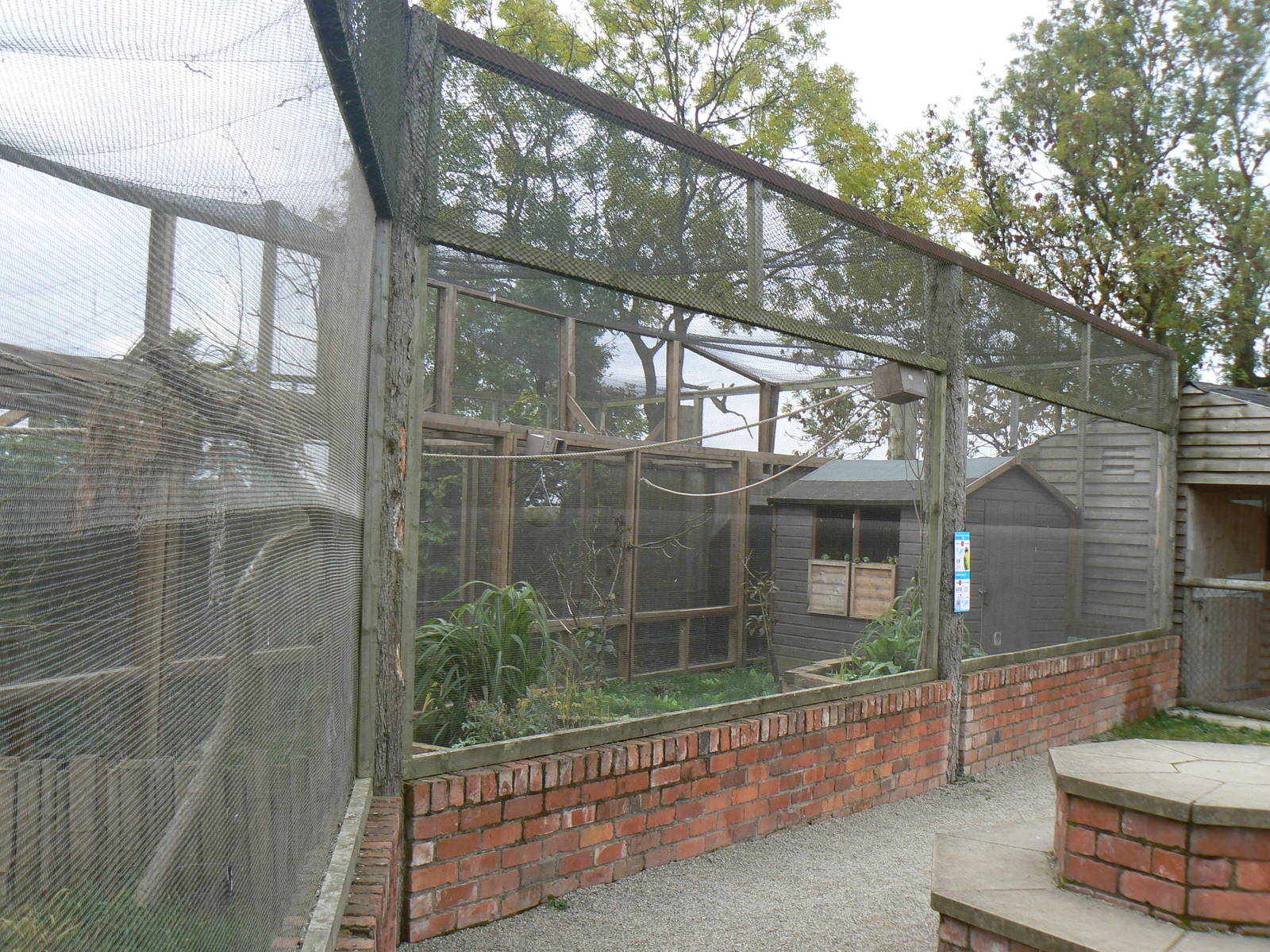 Aviary In Pets At Twycross- 17 October 2015