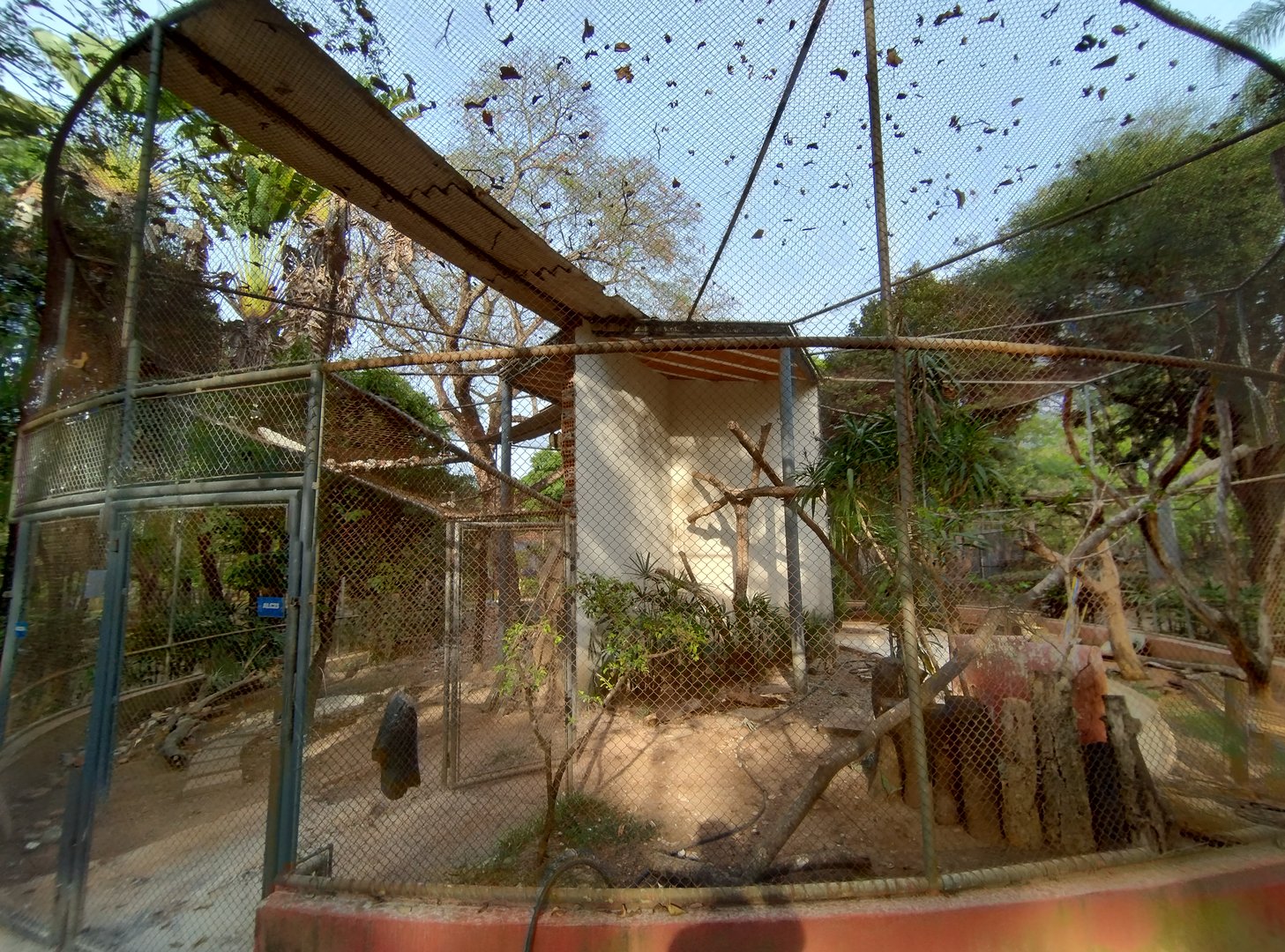 Aviary in renovation proccess - Belo Horizonte zoo