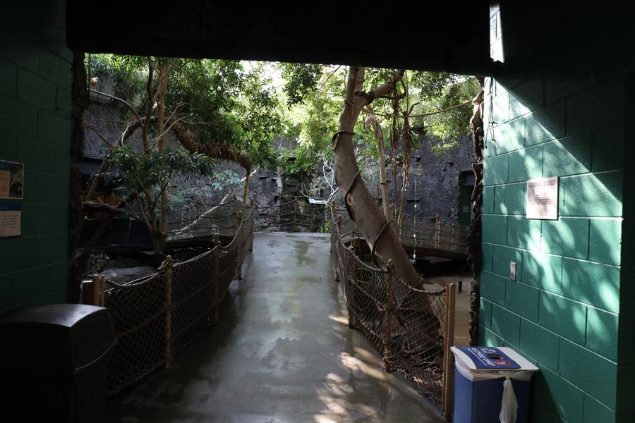 aviary in small animal building