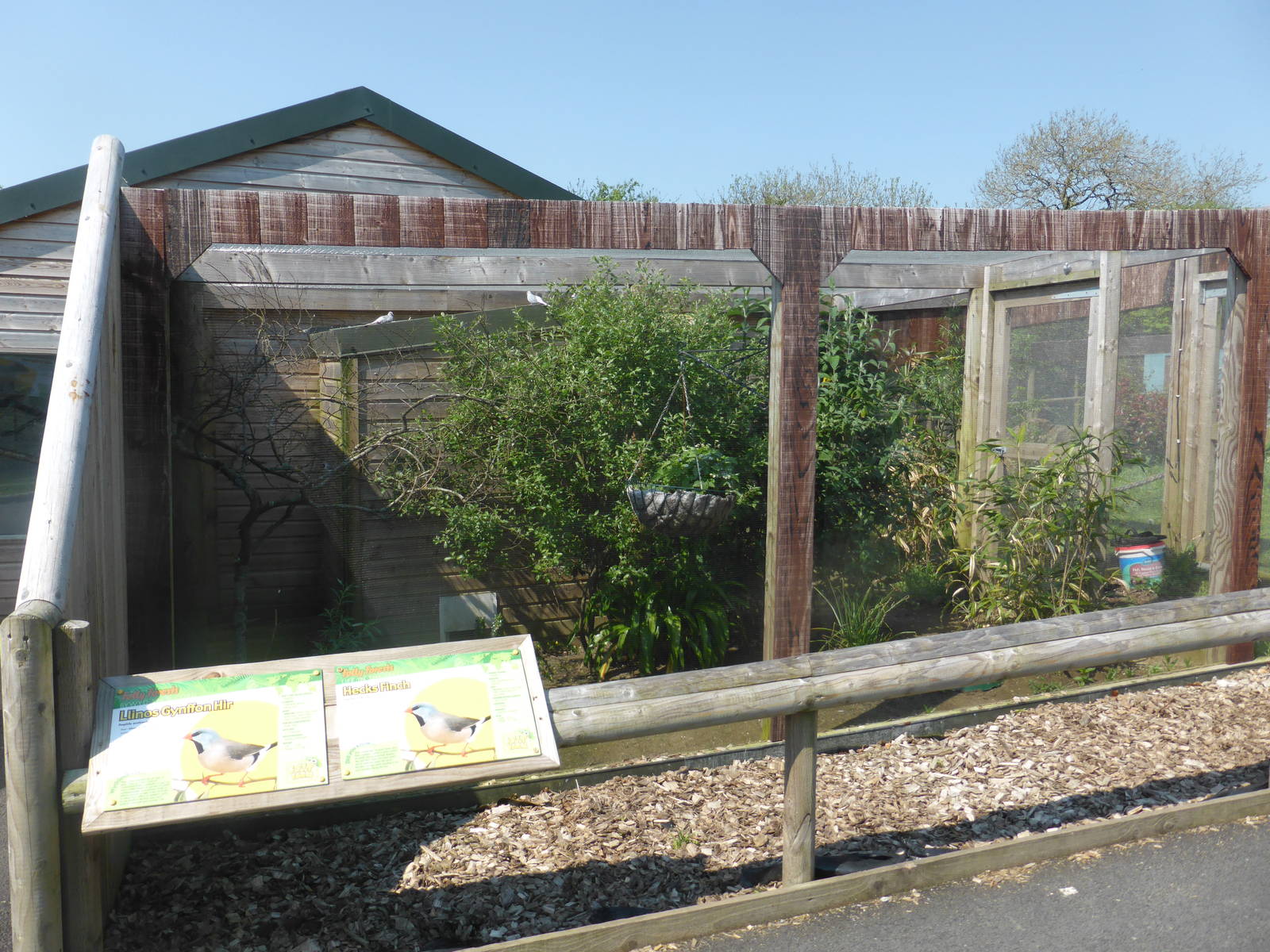 Aviary in South American Primates area