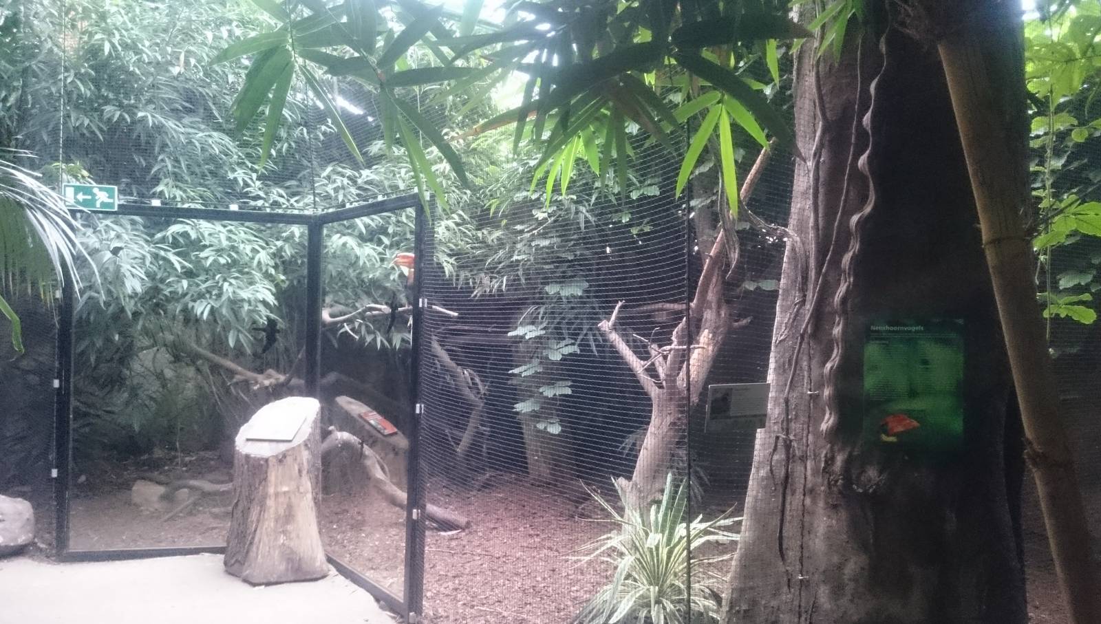 Aviary in the Asian part of the Tropical house
