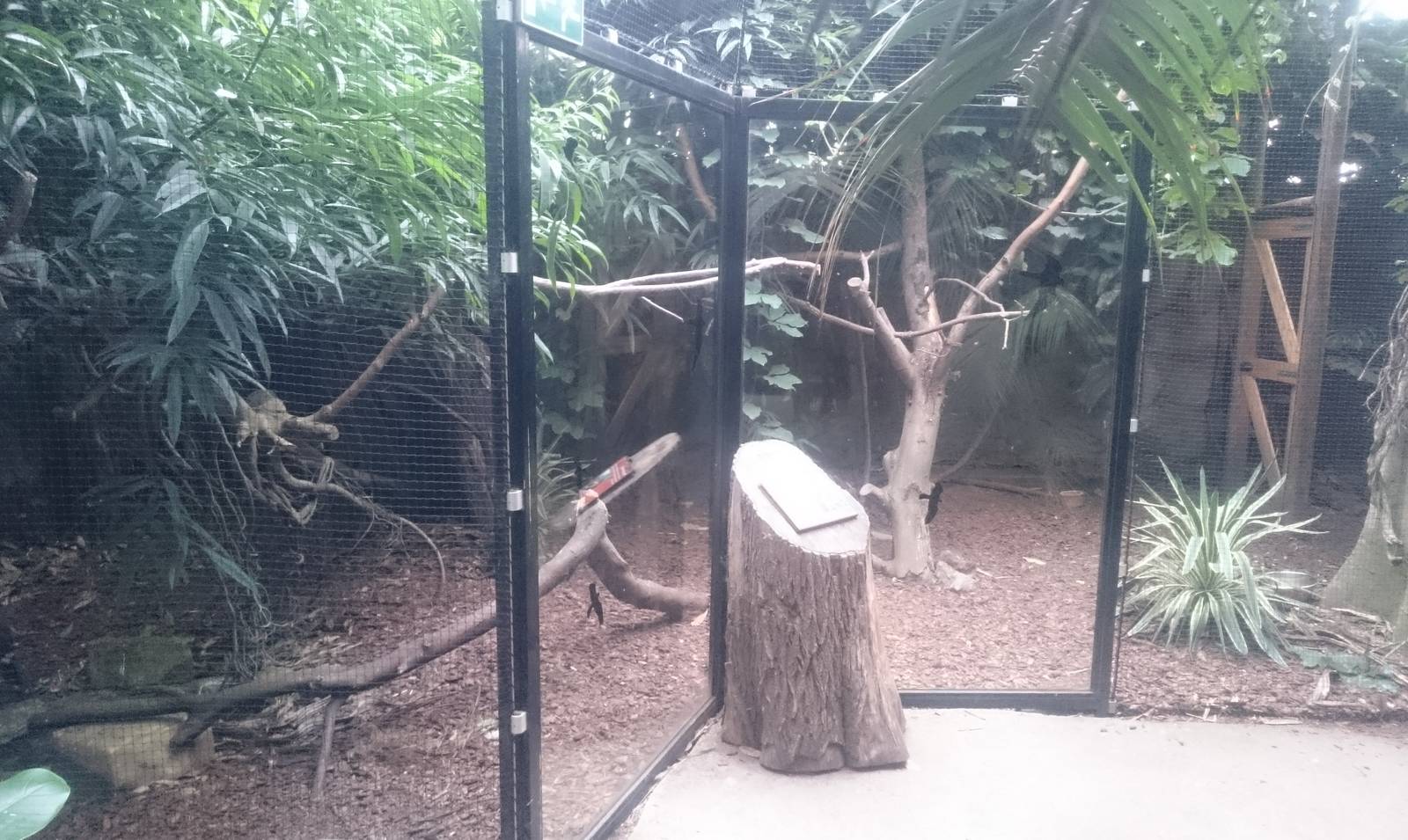 Aviary in the Asian part of the Tropical house