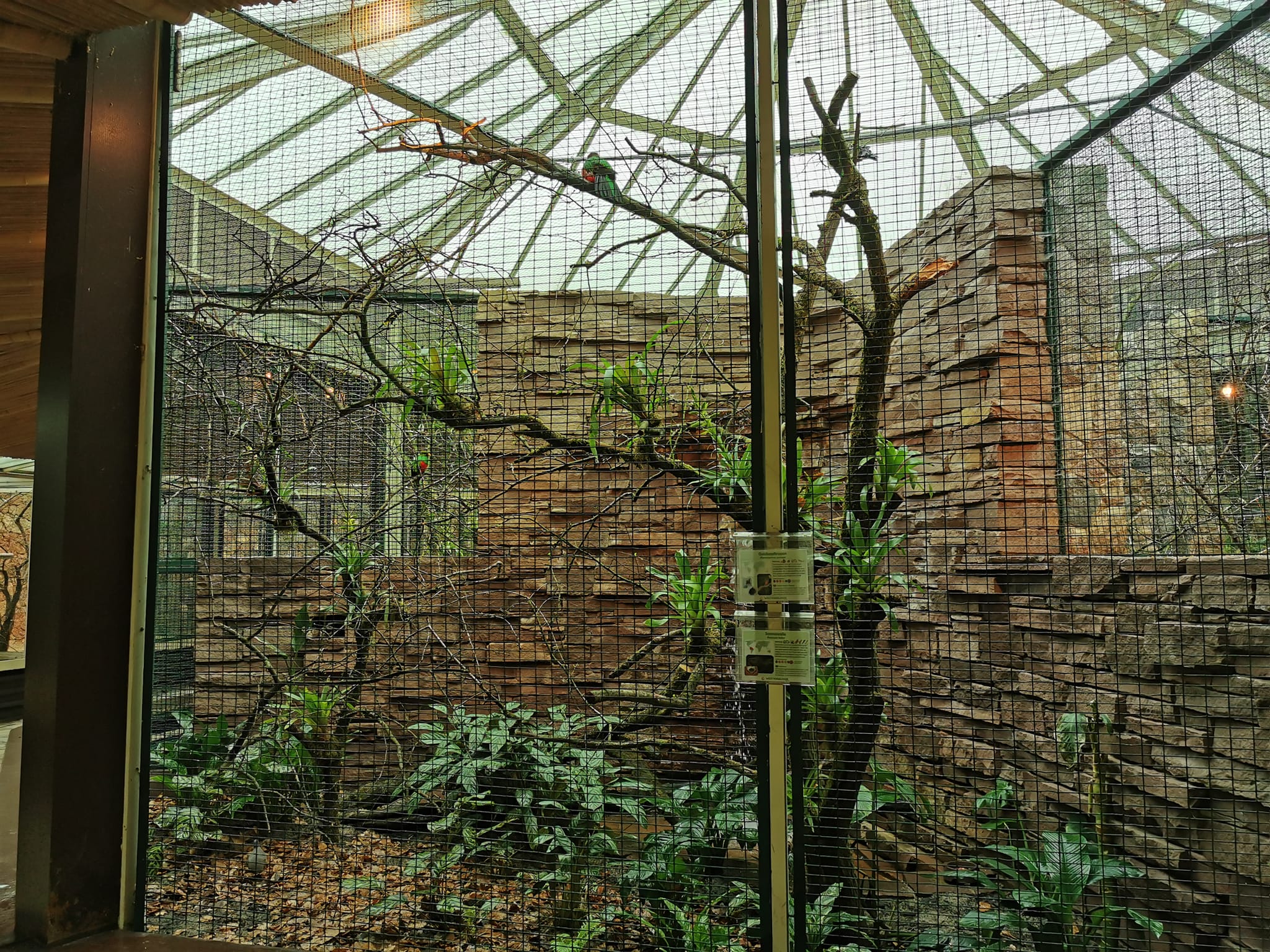 Aviary in the parrot house