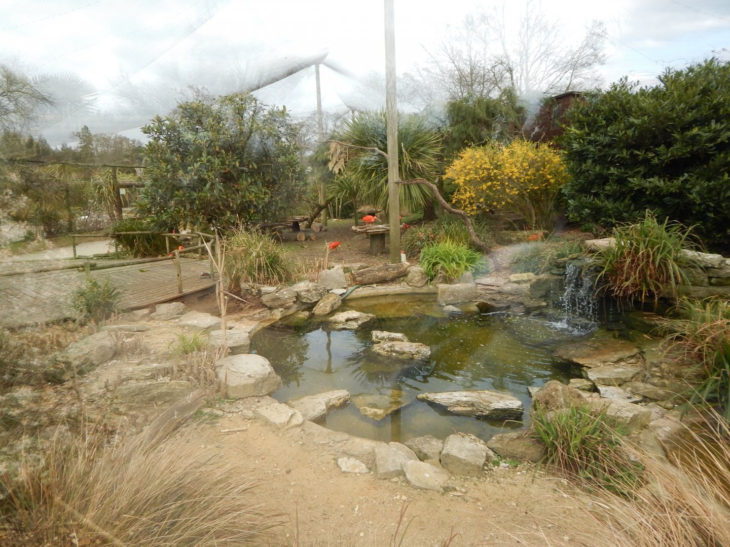 Aviary in Walled Garden 210421