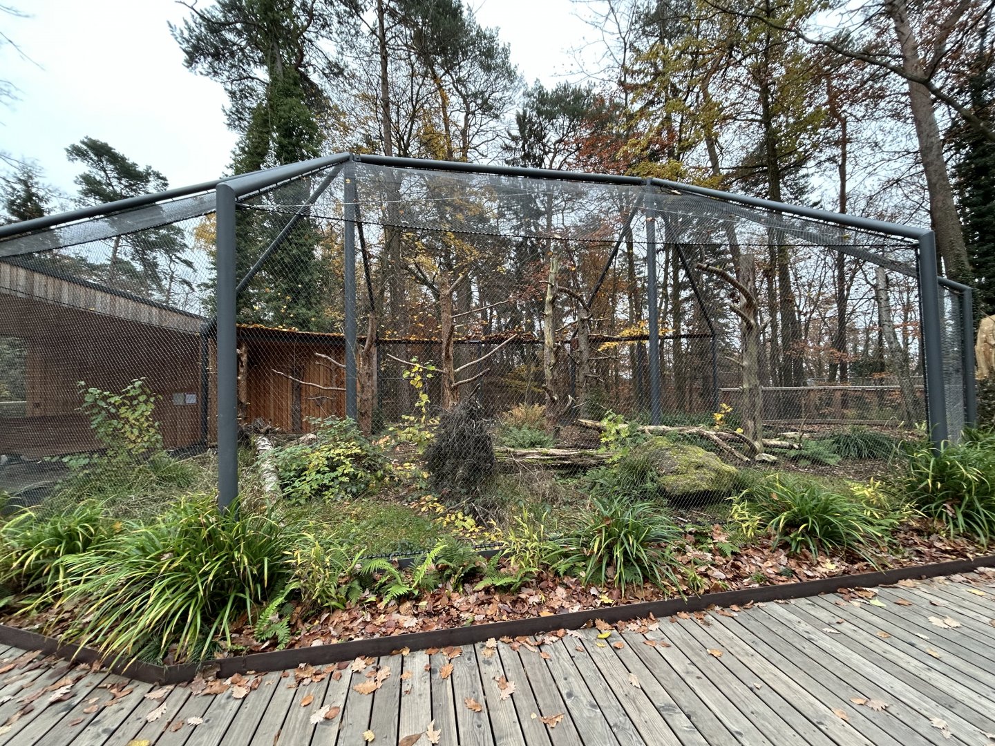 Aviary (Inhabitants Unknown)